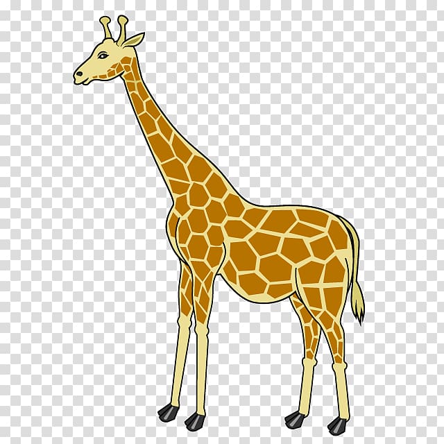 Giraffe Cartoon , giraffe transparent background PNG clipart