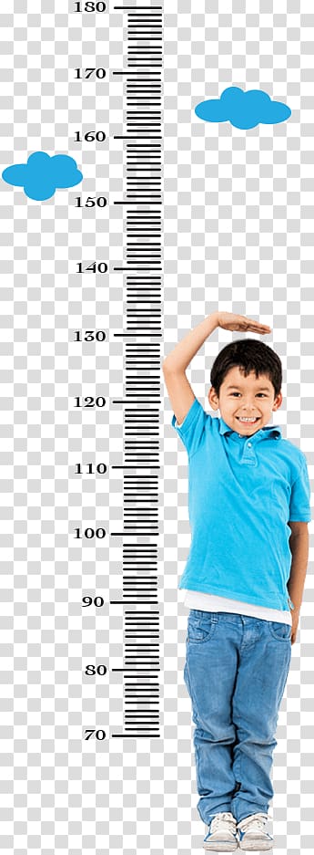 boy's blue polo shirt, Measuring Height Child Measurement Human height, height measurement transparent background PNG clipart