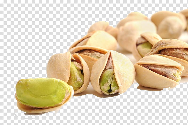 Iranian cuisine Pistachio Faloodeh Turkish cuisine Nut, pistachio transparent background PNG clipart