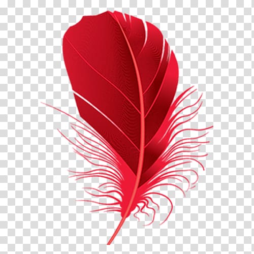 red feather illustration, Feather Red , Red feathers transparent background PNG clipart