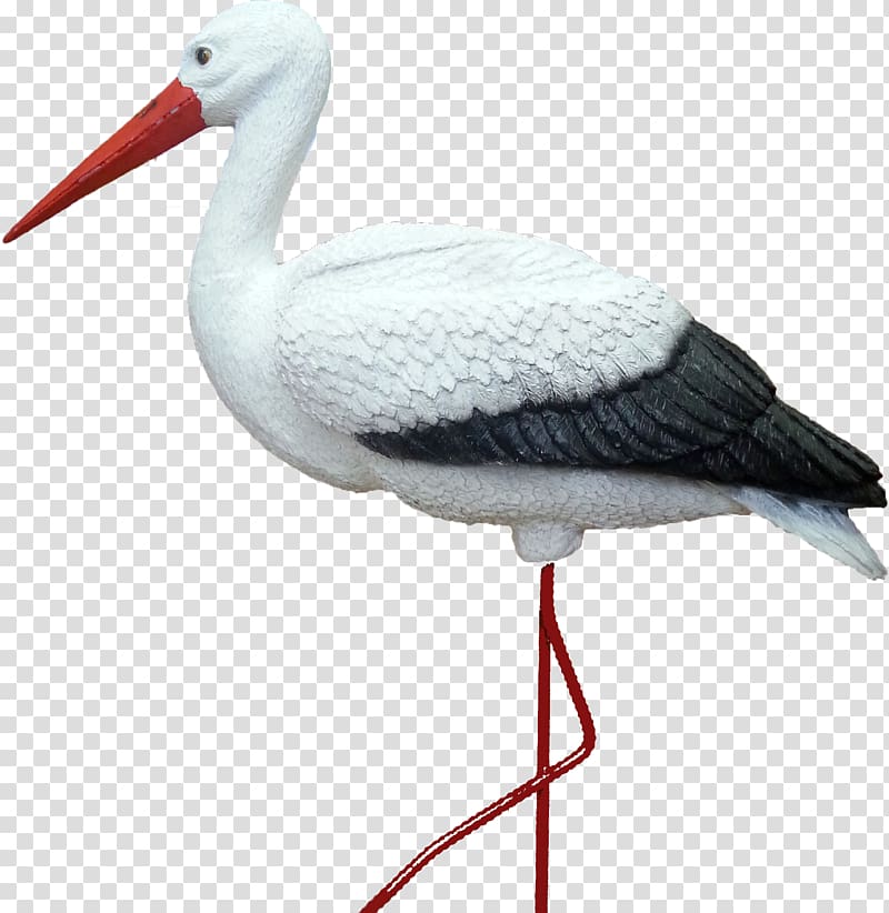 White stork Icon, Stork transparent background PNG clipart