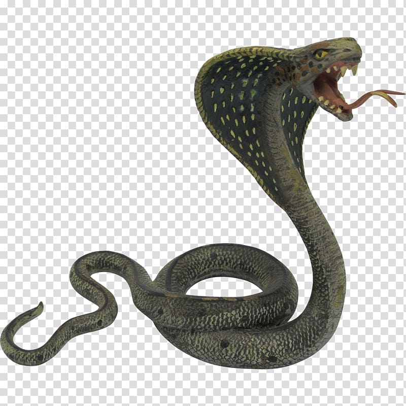 Indian cobra Snake King cobra, Cobra Snake transparent background PNG clipart