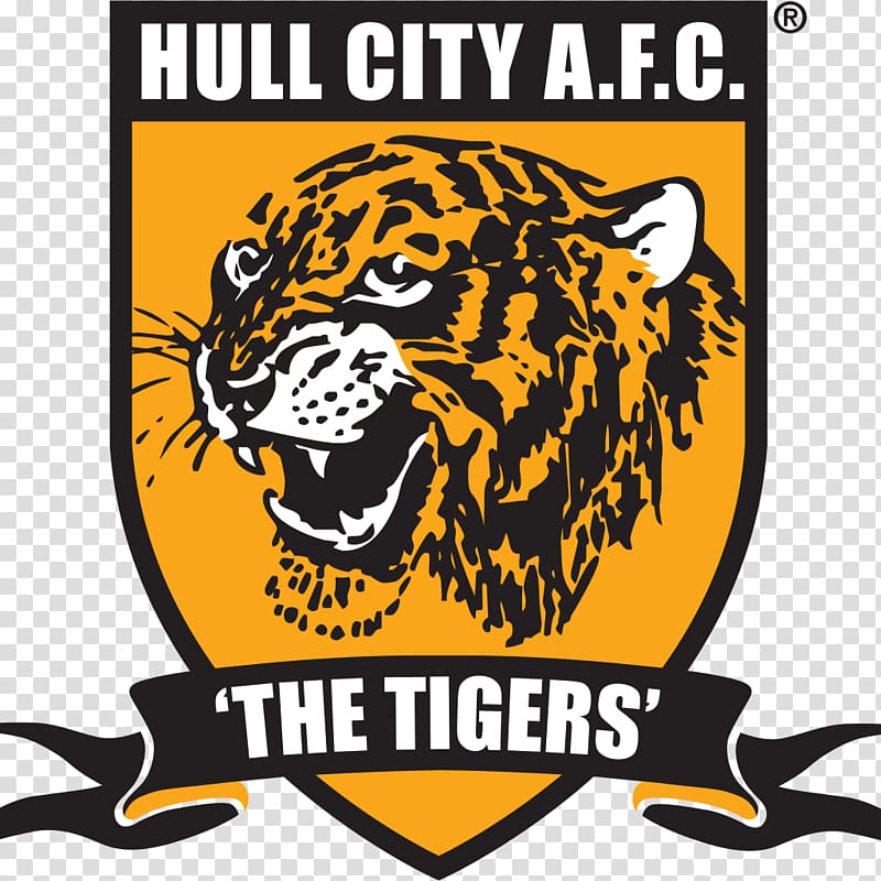 Hull City KCOM Stadium English Football League Hull Kingston Rovers, football transparent background PNG clipart