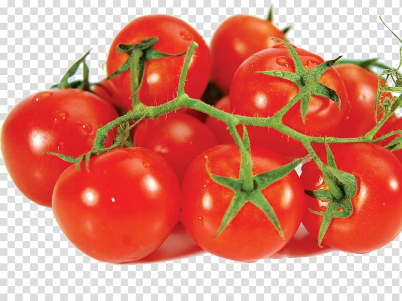 Tomato Vegetable Potato Food Fruit, tomato transparent background PNG clipart