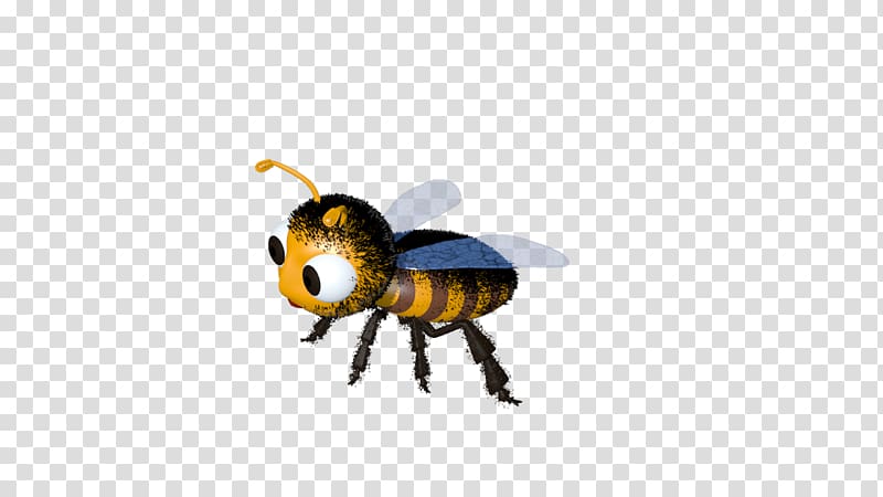 Honey bee Beetle Animated cartoon, bee transparent background PNG clipart