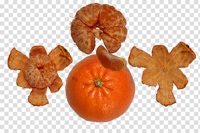 Clementine Tangerine Mandarin orange Tangelo Bitter orange, others transparent background PNG clipart