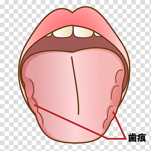 Mouth Dentist Jaw Tooth 坂井歯科医院, Captions transparent background PNG clipart