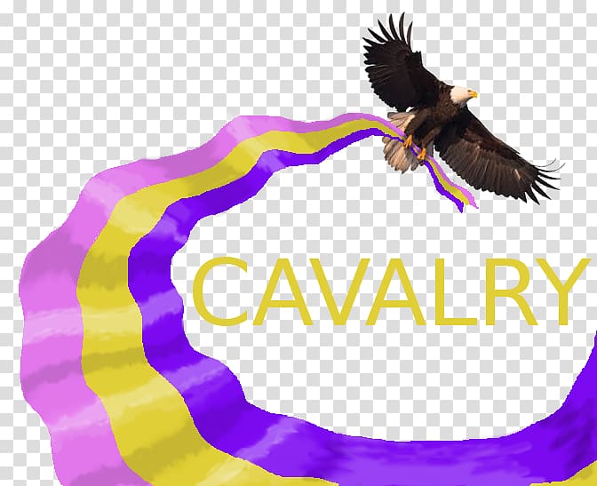 United States Cavalry Non-profit organisation Business Education, cavalry transparent background PNG clipart