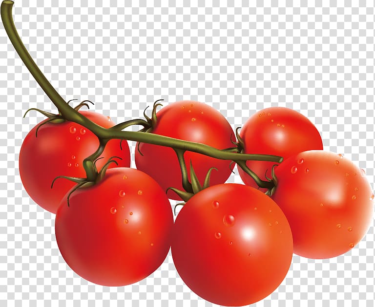 Tomato Vegetable Italian cuisine, Tempting tomato transparent background PNG clipart