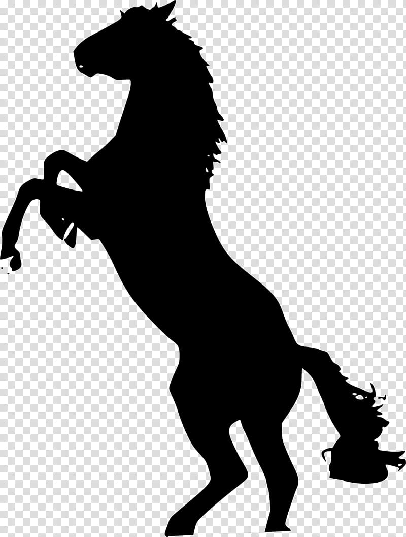 Mustang Stallion The behaviour of the horse , silhouettes transparent background PNG clipart