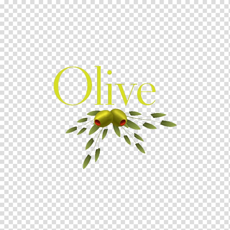 Olive oil Olive leaf, Free olive olive pull material transparent background PNG clipart