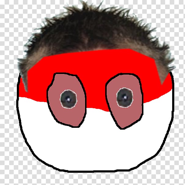 Polandball Meme 9GAG Comics, kick out transparent background PNG clipart