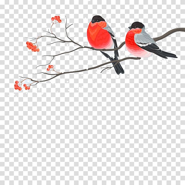 Painting Birds transparent background PNG clipart