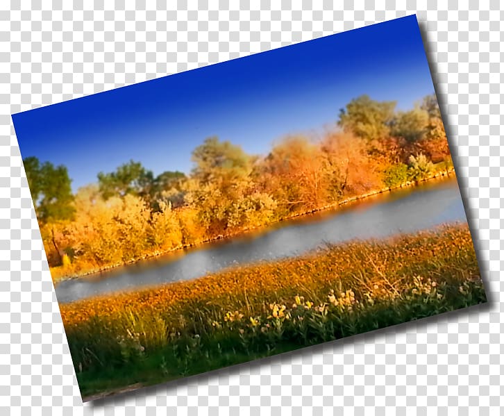 Ecosystem Meadow Nature story, erhai lake bridge free and transparent background PNG clipart