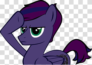 Cat Pony Horse , Cat transparent background PNG clipart thumbnail