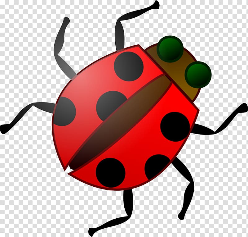 Beetle Software bug , ladybug transparent background PNG clipart
