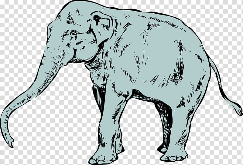 Asian elephant Tusk Pixabay, Huge elephant transparent background PNG clipart