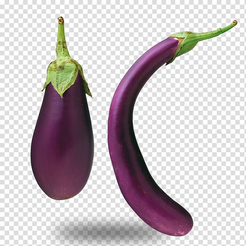 Purple Eggplant Vegetable, The long purple eggplant material transparent background PNG clipart