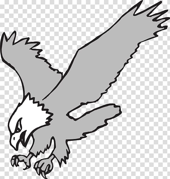 Bald Eagle Black and white Black-and-white hawk-eagle , White Eagle transparent background PNG clipart