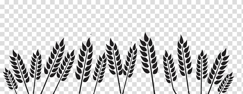 Black and white Wheat Organization, field transparent background PNG clipart