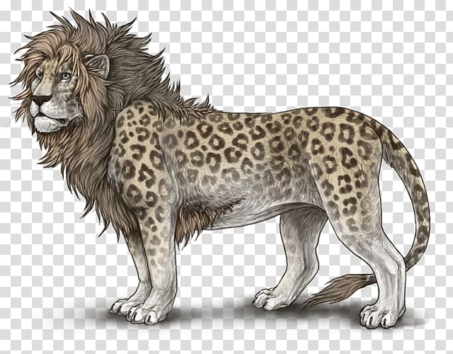 Lion Drawing Roar, mottled transparent background PNG clipart