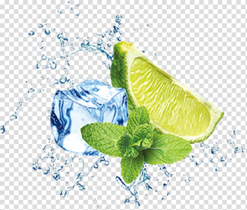 green leafed plant, Cocktail Mojito Ice Fototapeta Toothache, Splash lemon transparent background PNG clipart