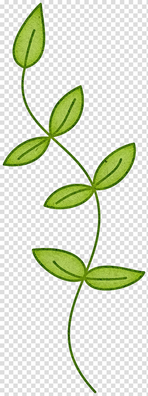 Branch Plant stem Leaf , spring leaves transparent background PNG clipart