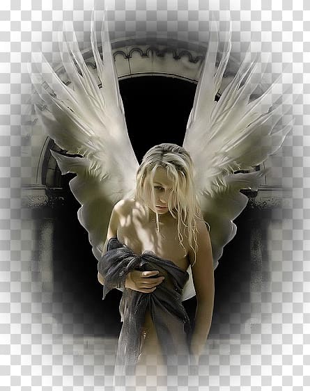 Angel Gfycat Giphy, angel transparent background PNG clipart
