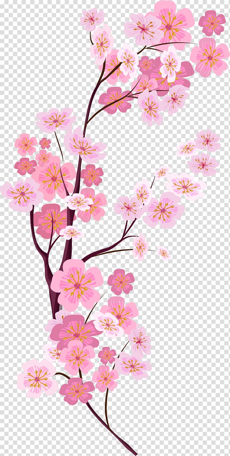 pink cherry blossom illustration, Cherry blossom Euclidean , painted pink cherry blossoms transparent background PNG clipart