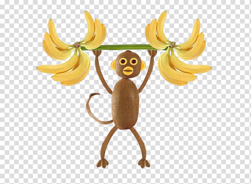 Kiwifruit Monkey Pineapple, Weightlifting monkeys transparent background PNG clipart