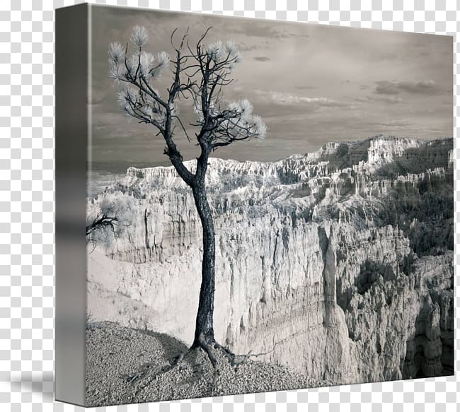 Bryce Canyon National Park Gallery wrap Painting /m/083vt Monochrome , landscape painting transparent background PNG clipart