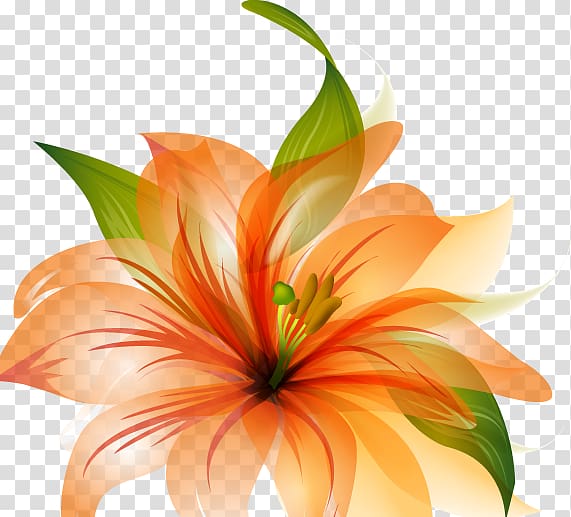 Flower Desktop Orange Petal , FLOWERS transparent background PNG clipart