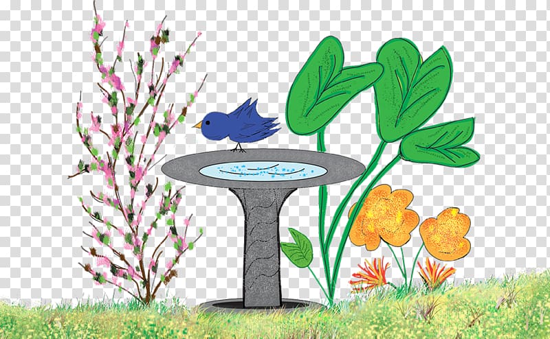 Leaf Flowerpot Grasses, Bird Bath transparent background PNG clipart