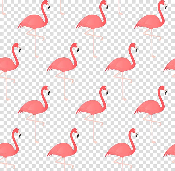 pink flamingo illustration, Flamingo Bird Drawing, Flamingos transparent background PNG clipart