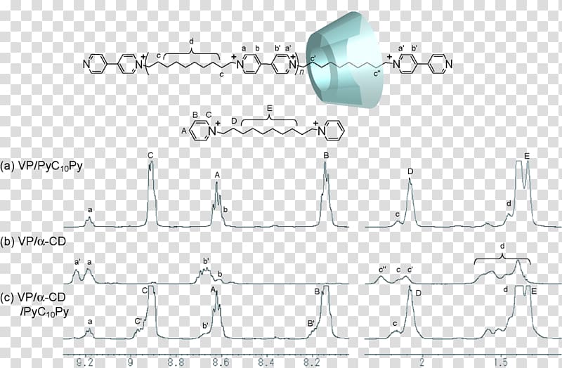 Supramolecular chemistry Cyclodextrin Viologen Nuclear magnetic resonance Hydrogel, others transparent background PNG clipart