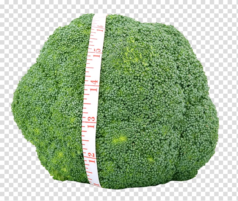 Broccoli Vegetable Appetite Food Cauliflower, Fresh Green Broccoli transparent background PNG clipart