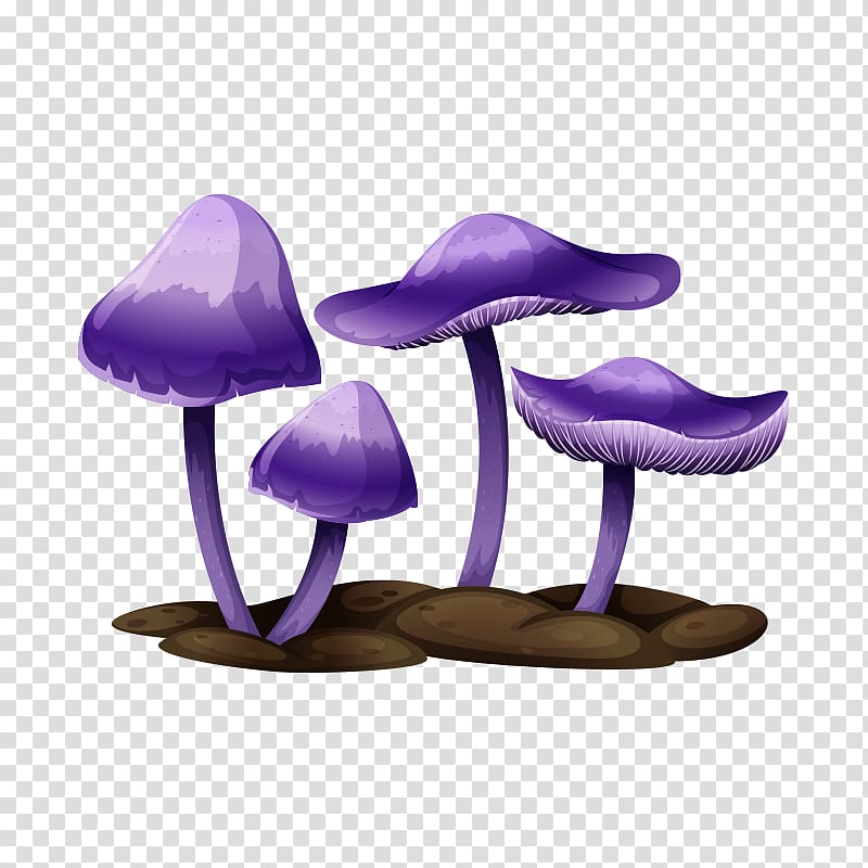 Edible mushroom Drawing Illustration, mushroom,fungus transparent background PNG clipart