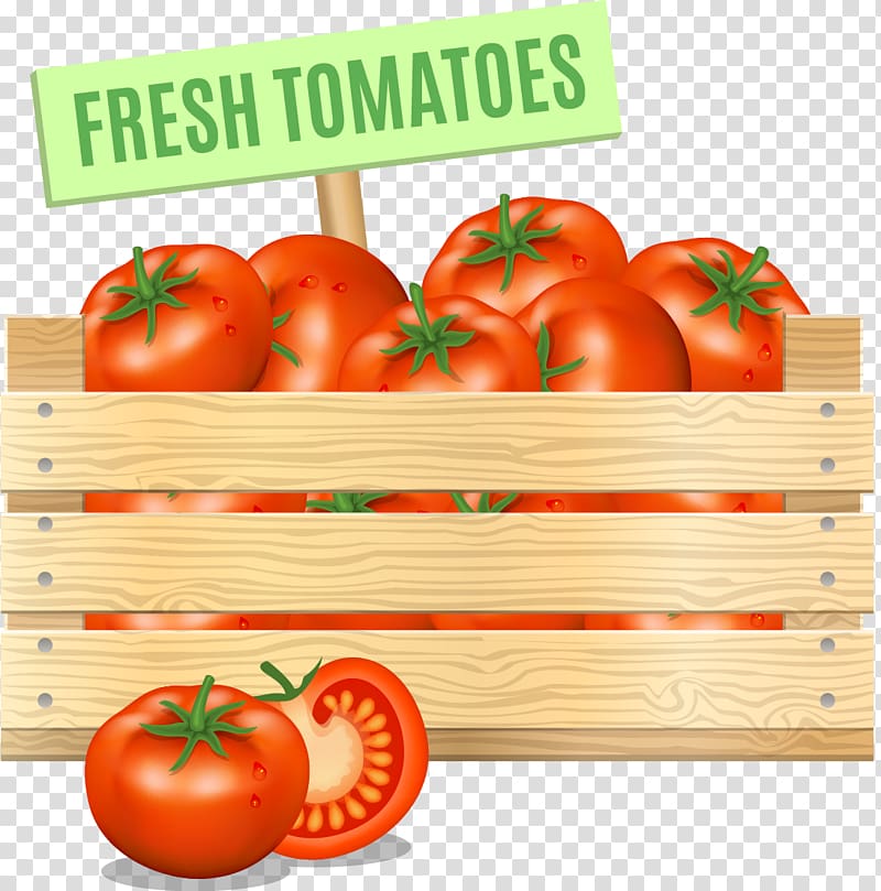 Tomato Vegetable Vegetarian cuisine Food, tomato transparent background PNG clipart