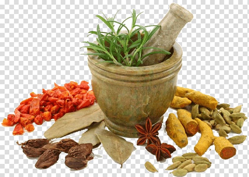 Ayurveda Kottakkal Physician Yunani medicine, fine herbs transparent background PNG clipart