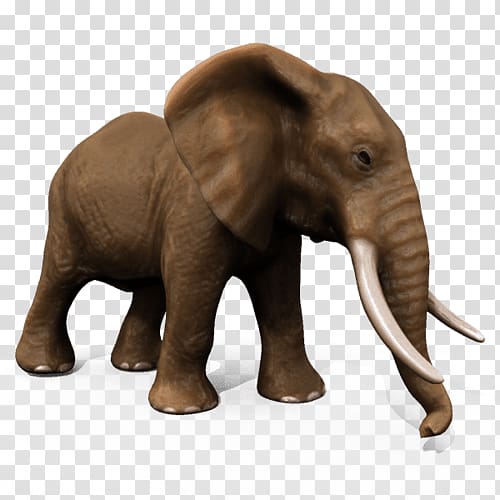 African elephant Asian elephant Animal 3D modeling, elephant rabbit transparent background PNG clipart