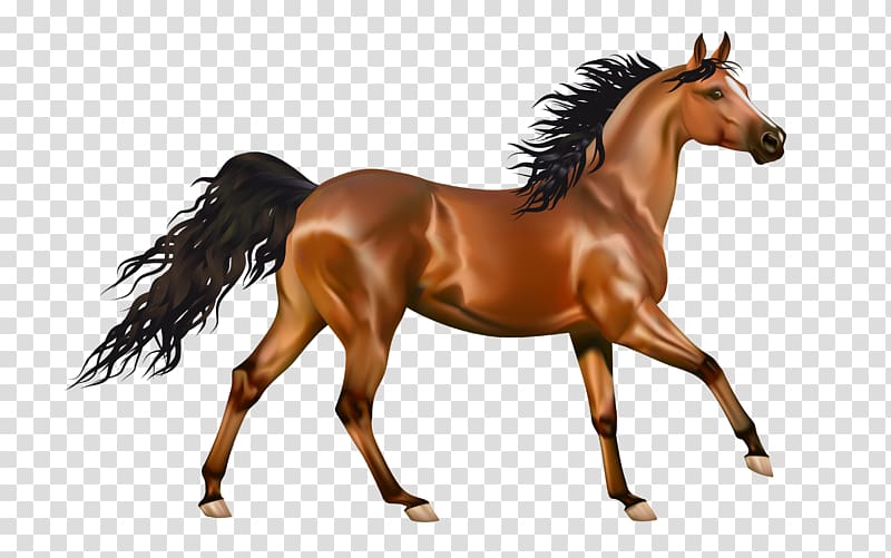 Mustang Pony Desktop , horse race transparent background PNG clipart
