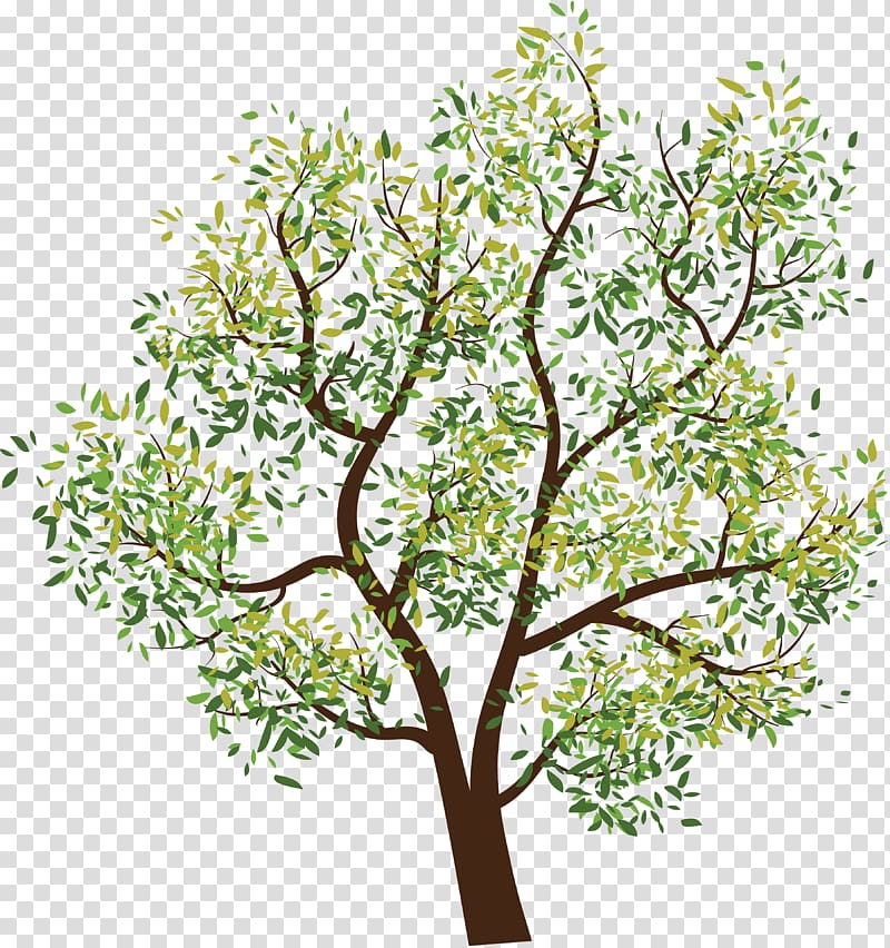 Tree Branch , drawing summer tropical plants transparent background PNG clipart