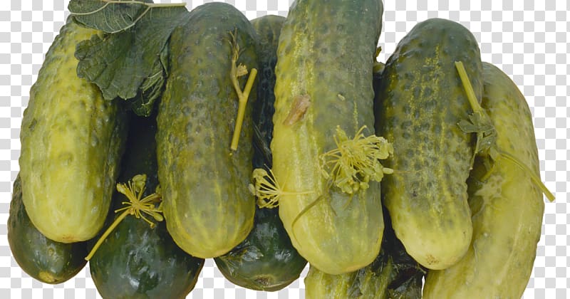 Pickled cucumber Pickling Vegetable Salting, cucumber transparent background PNG clipart