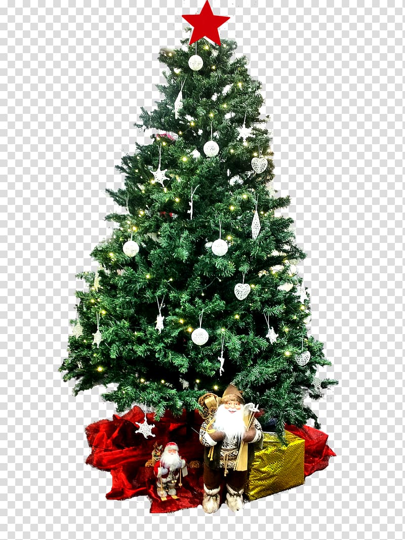 Christmas tree covered with white lights transparent background PNG clipart