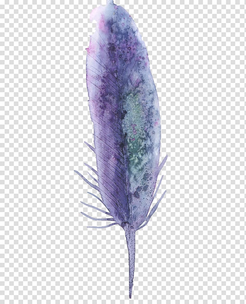 Purple Feather Watercolor painting, Purple feather watercolor transparent background PNG clipart