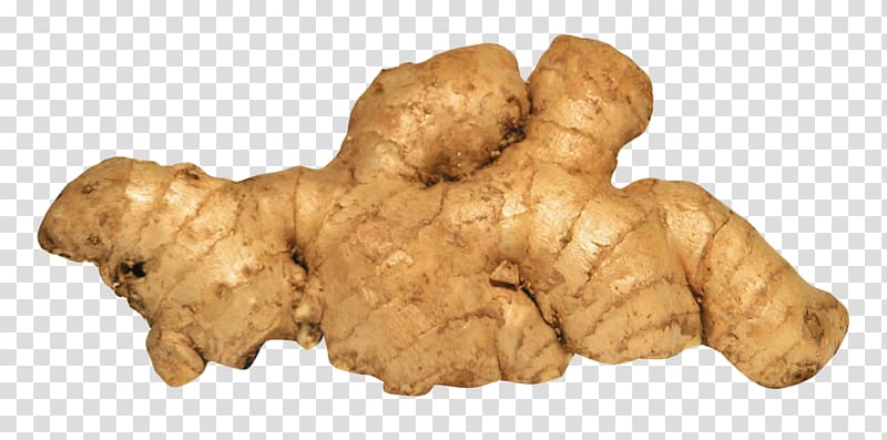 Ginger transparent background PNG clipart