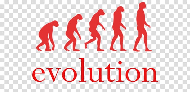 Human evolution Homo sapiens The Origin of Brands Ape, others transparent background PNG clipart