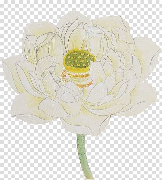 Rosaceae Floral design Cut flowers Flower bouquet, Lotus transparent background PNG clipart
