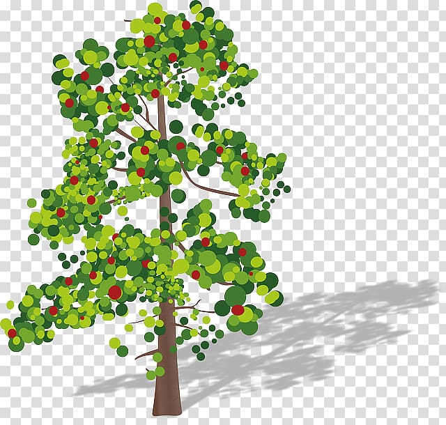 Tree Aspen , tree transparent background PNG clipart