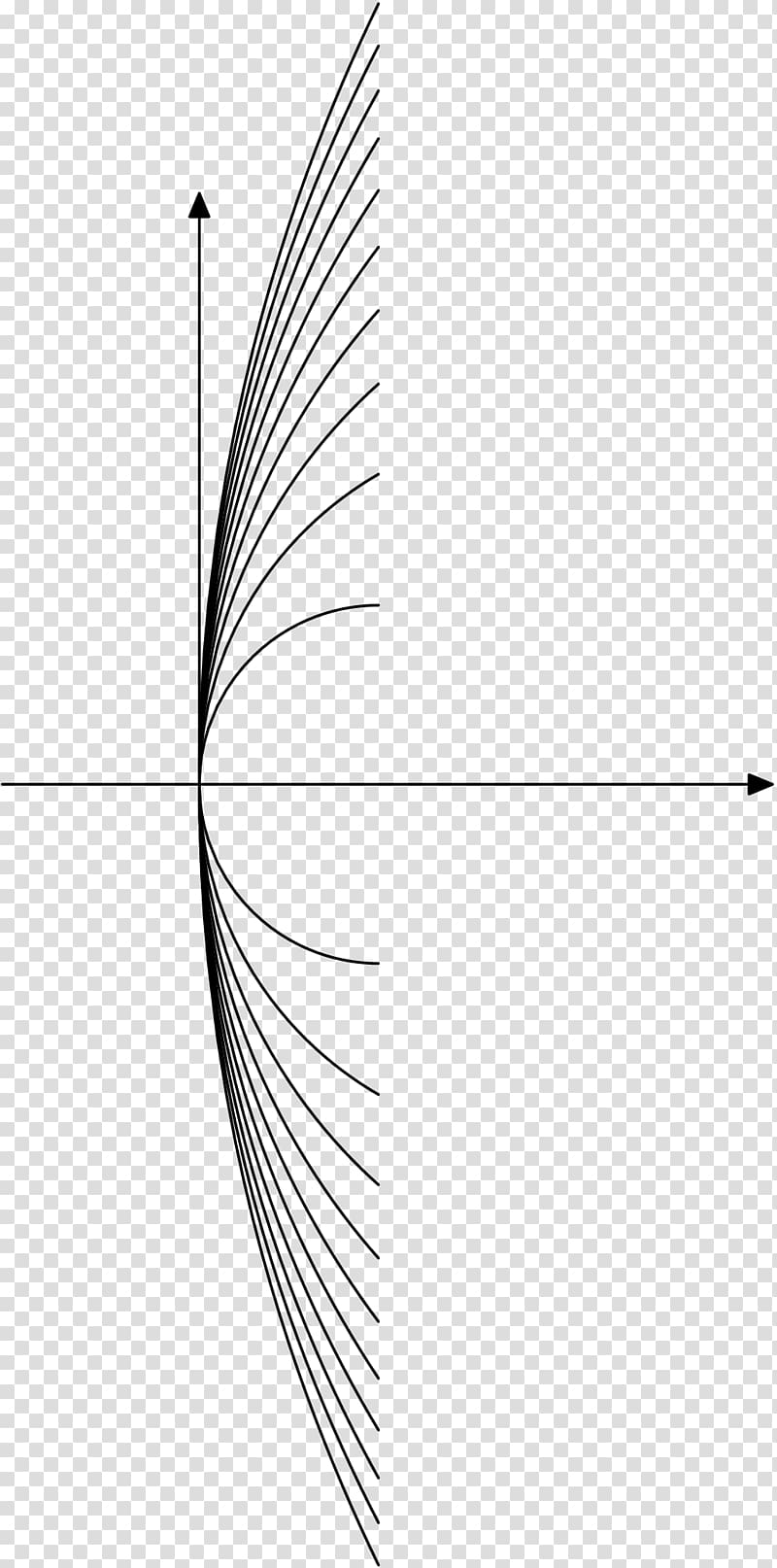 Leaf White Point Line art Angle, plant segmentation line transparent background PNG clipart